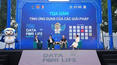 لائف راؤنڈ ٹیبل کے لیے ڈیٹا: ڈیٹا سلوشنز کے ساتھ 'رکاوٹوں' کو دور کرنا