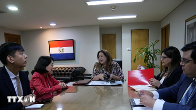 هناك العديد من المؤشرات الإيجابية فيما يتعلق بآفاق التعاون بين فيتنام وباراغواي.