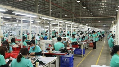 Tay Ninh implementerer plan for å utvikle privatøkonomien.