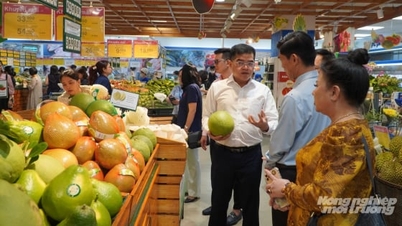 La marca verde indica la responsabilidad de dar forma a los estándares modernos de control de calidad de los alimentos.