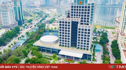 הנחיות בנוגע להיבטים מסוימים של ארגון הכפר והשכונה, וארגון מחדש של כוח אדם עבור ראשי כפרים ומנהיגי קבוצות שכונות.