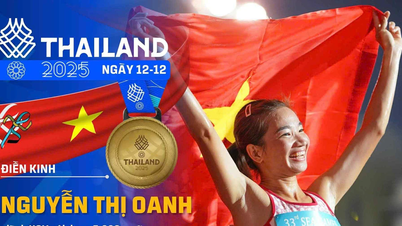 Atletiek en vechtsporten 'schitteren' nu Vietnam 30 gouden medailles behaalt op de 33e SEA Games.