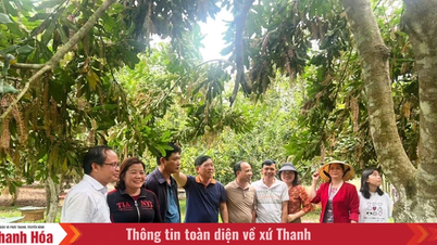 Van Du mengembangkan aspek sosial-ekonominya ke arah yang berkelanjutan.