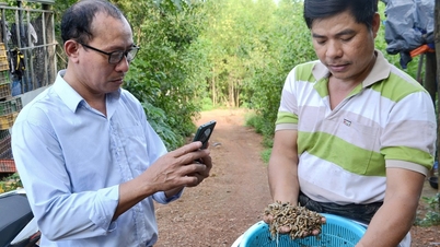 빈곤 감소 정책을 전달하는 데 있어 유연성.