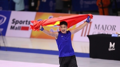 제33회 동남아시아 경기대회에서 베트남 종합격투기가 역사적인 성공을 거두었습니다.