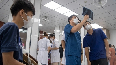 Η «ραχοκοκαλιά» της μεταρρύθμισης του συστήματος υγειονομικής περίθαλψης στην ψηφιακή εποχή.