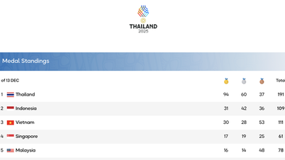 Η αθλητική αποστολή του Βιετνάμ ολοκλήρωσε τον αγώνα της ημέρας στις 13 Δεκεμβρίου με 6 χρυσά μετάλλια.