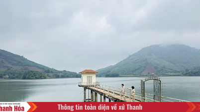 농업 생산에 필요한 관개 용수를 공급하기 위한 조치를 시행하십시오.