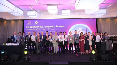 הדגשת תפקידה של רפואה ראשונית בטיפול באי ספיקת לב.