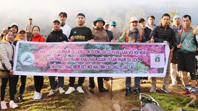 Organizarea unui studiu al produsului turistic „Drumul antic de piatră din Pavi” în conjuncție cu o conferință privind soluțiile pentru promovarea dezvoltării acestuia...