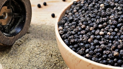 ລາຄາພິກໄທມື້ນີ້, ວັນທີ 14 ທັນວາ 2025: ຫຼຸດລົງເລັກນ້ອຍ 500 ດົ່ງ.