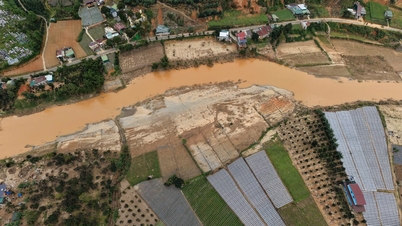 람동 지역 농부들이 폭풍과 홍수 이후 생산을 재개하고 있습니다.
