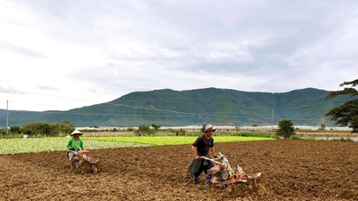 생산 재개를 위한 시의적절한 투자 자금 지원.
