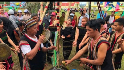 므농 쌀 와인 - 광활한 숲 속에서 즐기는 풍부하고 매혹적인 음료.