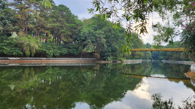 Vandring blant det grønne taket