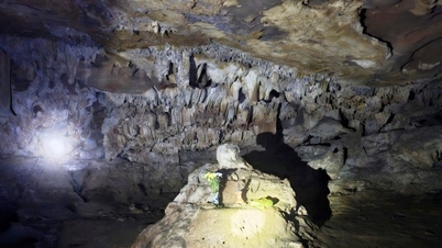 Ninh Binh Buda Mağarası: Dağın kalbine doğru bir tekne turuna çıkın ve taş Buda heykelini hayranlıkla izleyin.