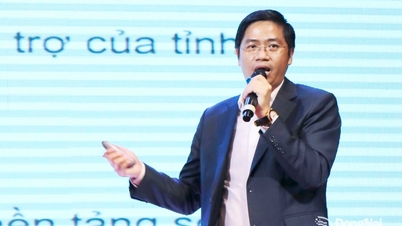 Herr Nguyen Hoai Chung, VD för Phaata International Logistics Exchange: Att ta vara på möjligheterna för Dong Nai att bli ett logistikcentrum på internationell nivå.