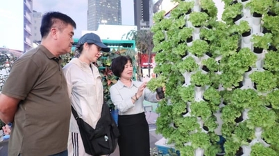 الزراعة الحضرية في مدينة هو تشي منه: إعادة الهيكلة من أجل التنمية المستدامة في مرحلة جديدة