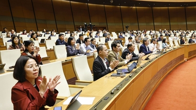 نهادهای مربوطه بر اجرای رویه‌های انتخاباتی مطابق با جدول زمانی و مقررات قانونی تمرکز دارند.