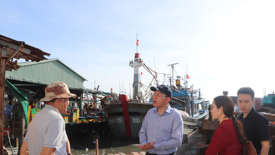 Die VNeID-Erklärungspflicht für Besatzungsmitglieder beim Ein- und Auslaufen von Schiffen in Häfen muss strikt eingehalten werden.