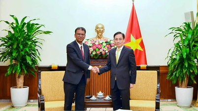 Министр иностранных дел Ле Хоай Чунг принимает посла Федеративной Демократической Республики Непал в Вьетнаме, проживающего за пределами страны.