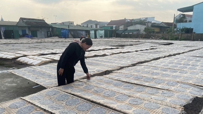 ភូមិសិប្បកម្មប្រពៃណីនៅខេត្តង៉េអានកំពុងមមាញឹកដោយសកម្មភាពត្រៀមសម្រាប់បុណ្យតេត (បុណ្យចូលឆ្នាំថ្មី)។