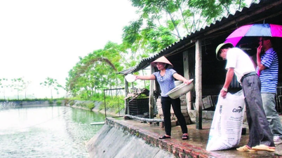 Zastosowanie technologii IoT do monitorowania jakości wody w akwakulturze.
