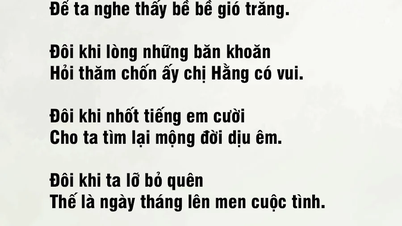 Noen ganger tar vi vinden med hjem.