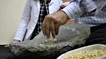 Starożytny zamek z 750 r. p.n.e. odkrywa nowe tajemnice.