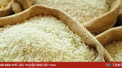 Цены на тайский рис достигли шестимесячного максимума.