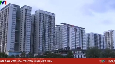 Die Vor- und Nachteile des Kaufs einer Wohnung mit einer Eigentumsdauer von 50 Jahren.