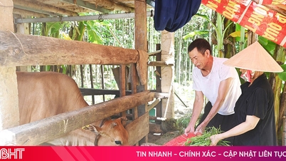 Το ποσοστό φτώχειας στην ορεινή κοινότητα Phuc Trach έχει μειωθεί στο 1,16%.