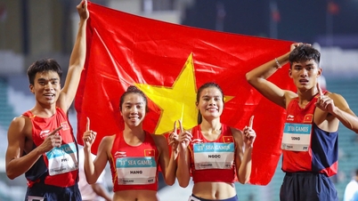 베트남 스포츠계가 저력을 보여주고 있습니다.