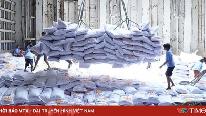 A indústria arrozeira enfrenta um momento decisivo: queda nas exportações e pressão para se reposicionar.