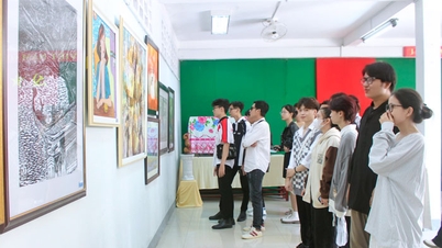 Sztuki piękne rozjaśniają obraz sztuki i kultury prowincji.