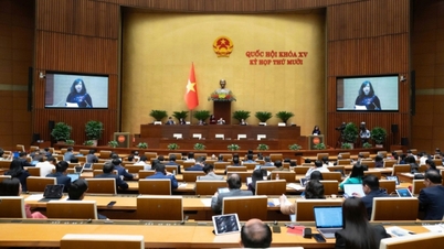 Majelis Nasional telah mengesahkan Undang-Undang Kependudukan: Mulai 1 Juli 2026, perempuan yang melahirkan berhak atas cuti melahirkan selama 7 bulan.