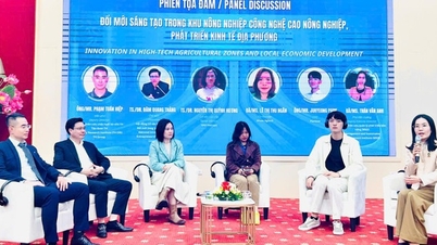 Conectarea zonelor de aplicații agricole de înaltă tehnologie promovează antreprenoriatul inovator și dezvoltarea durabilă.