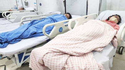 Quang Ngai: 20 pessoas hospitalizadas com suspeita de intoxicação alimentar após comerem pão.