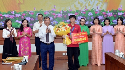 Hai Phong: Prêmio de 500 milhões de VND para estudantes que obtiverem altas pontuações em competições nacionais e internacionais.