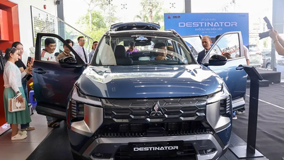 Sales of imported cars increased by 17%.