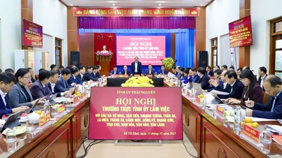 The Standing Committee of the Provincial Party Committee is monitoring the socio-economic development situation of 13 communes in the northeastern region of the province.