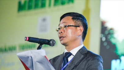 Półmaraton Tien Phong szerzy pozytywnego ducha.