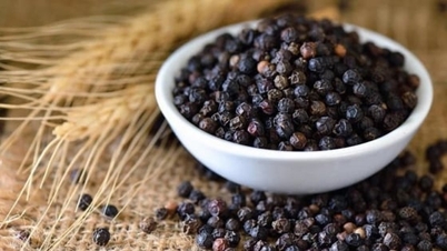 Pepper prices today, December 14, 2025: This week sees a rebound.