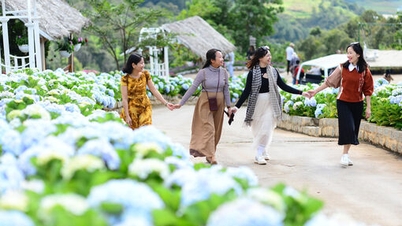 Καιρός σήμερα (14 Δεκεμβρίου): Στο Βόρειο Βιετνάμ θα σημειωθούν θερμοκρασίες κάτω από 5°C σε ορισμένες περιοχές, έντονες βροχοπτώσεις στο Κεντρικό Βιετνάμ και ηλιόλουστος καιρός στο Νότιο Βιετνάμ.