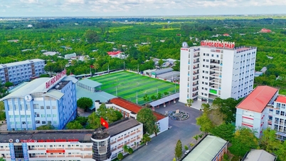 Po dosažení statusu profesora obdržel přednášející okamžitě bonus ve výši 500 milionů VND.