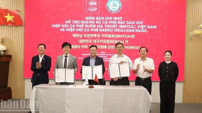 Dak Lak is pioneering in bringing Vietnam's specialty Robusta coffee to the market...