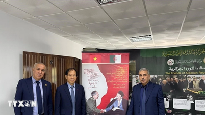 General Vo Nguyen Giap: un puente de solidaridad entre Vietnam y Argelia.