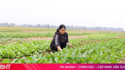 ໝູ່ບ້ານຜັກ Quyet Tien ກຳລັງຄຶກຄື້ນໄປດ້ວຍກິດຈະກຳຕ່າງໆ ເພື່ອກະກຽມຕ້ອນຮັບປີໃໝ່ຈີນ.