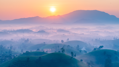 วิวพระอาทิตย์ขึ้นอันงดงามบนไร่ชา กำลังเป็นที่นิยมอย่างมากในจังหวัดฟู้โถในขณะนี้