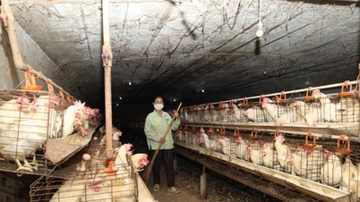 Förderung nachhaltiger Lebensgrundlagen und Armutsbekämpfung in Phuc Son.